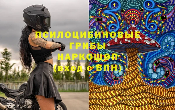молекула духа Арсеньев