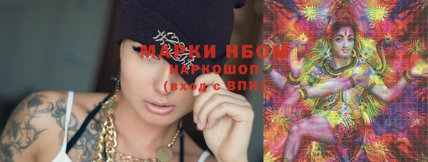 молекула духа Арсеньев